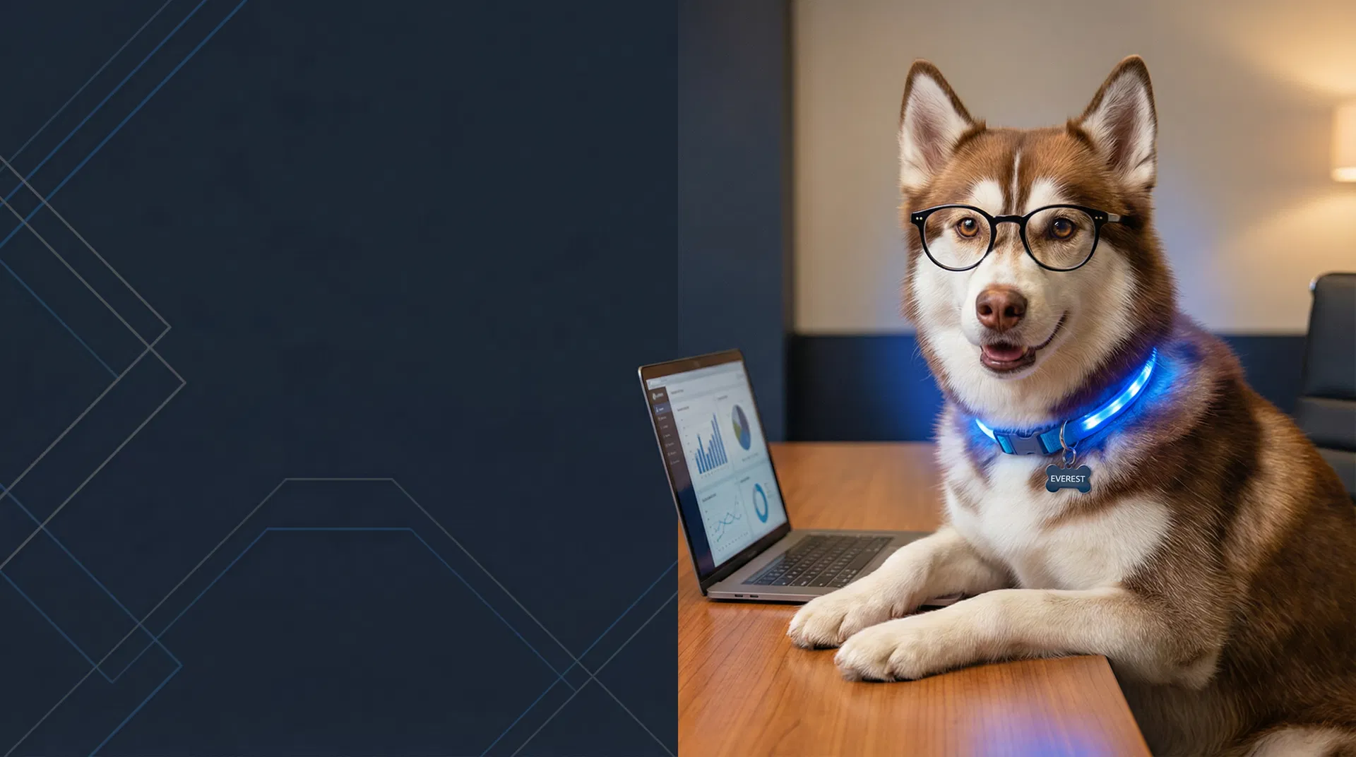 Everest the husky representing HuskyTail Digital's national local SEO team