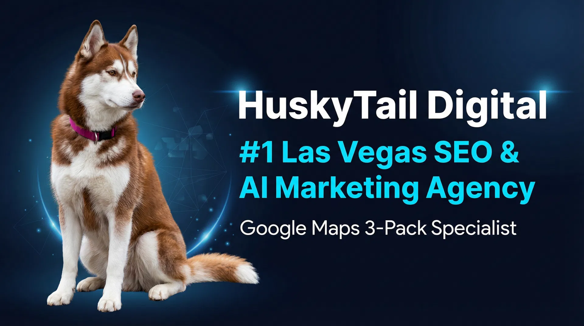 HuskyTail Digital Marketing